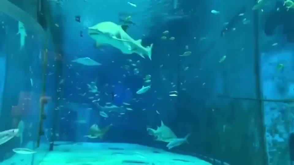 新夺宝英雄