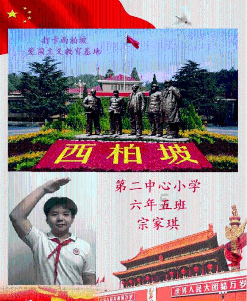 2021年浙江社保养老保险交费多少一个月？游戏画面